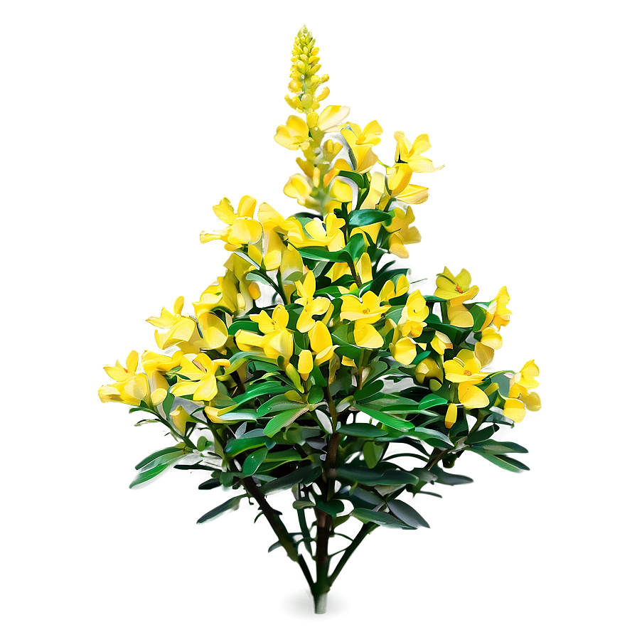 Yellow Flower Bush Png 06122024