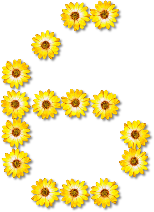 Yellow Flower Letter B Design