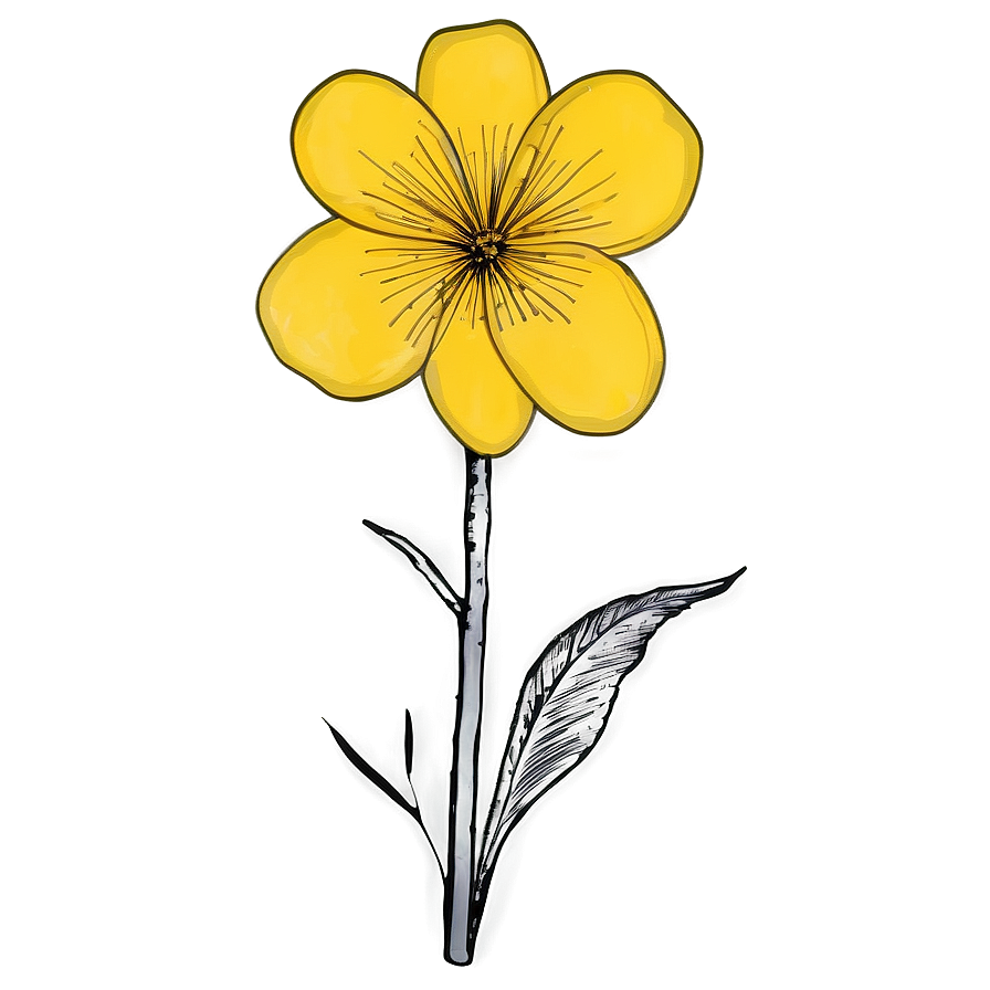 Yellow Flower Sketch Png 18