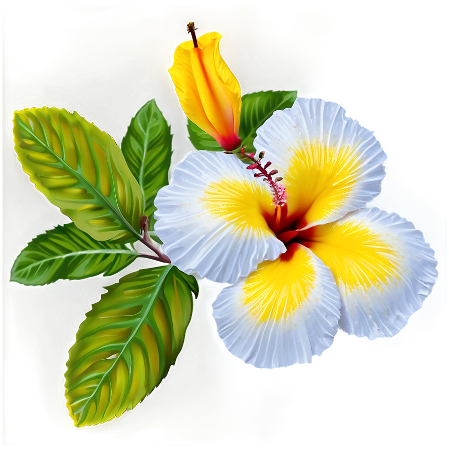 Yellow Hibiscus Png 42