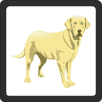 Yellow Labrador Retriever Illustration PNG with transparent background