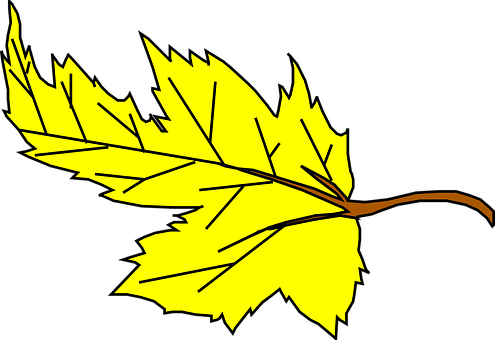 Yellow Maple Leaf Vector Illustration PNG with transparent background