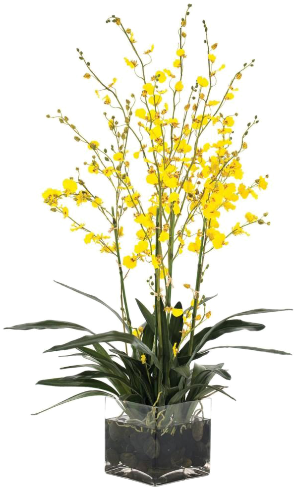 Yellow Orchidsin Glass Vase