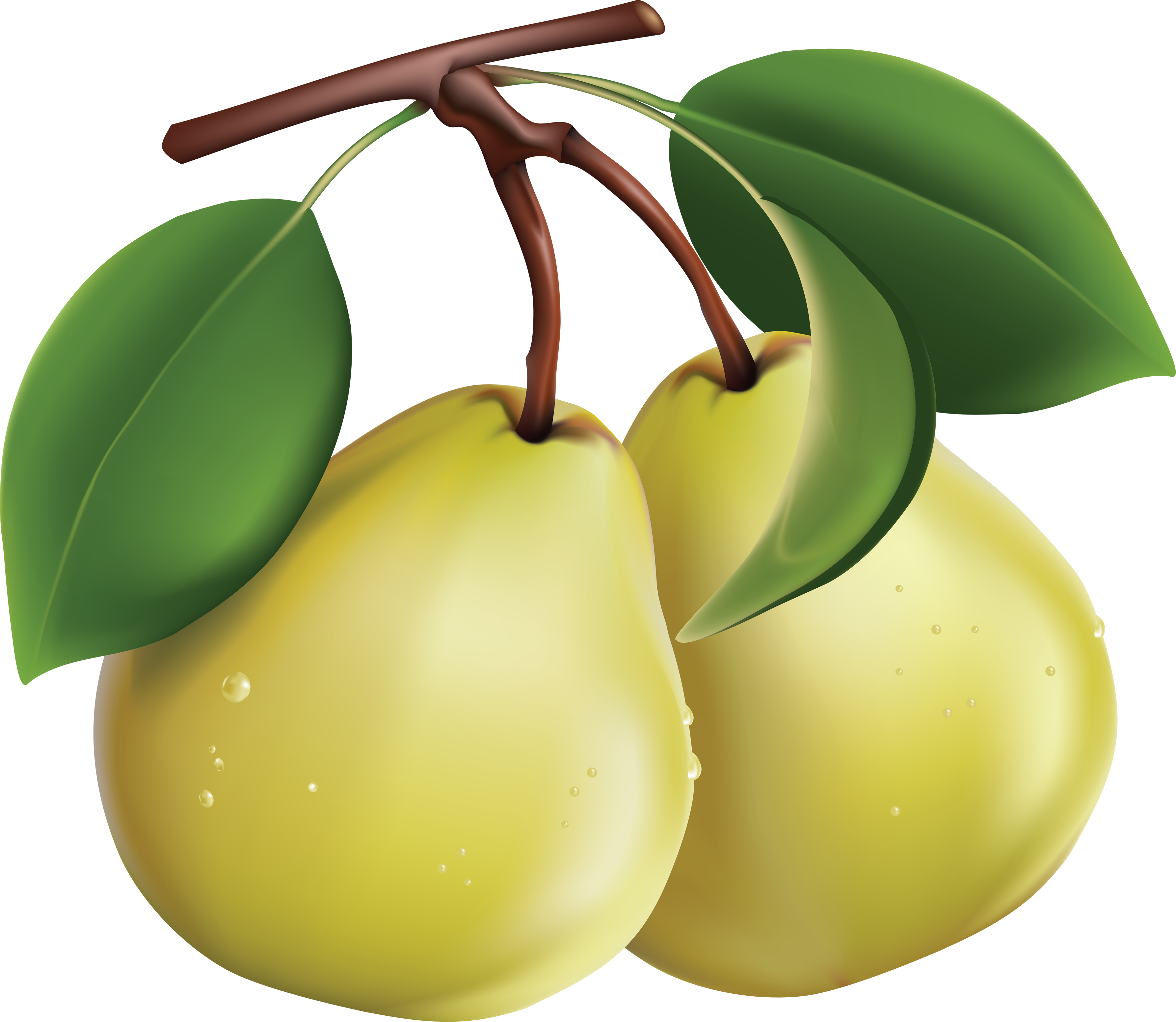 Pear,tree,fruit Plant,clip Pear,accessory Fruit - Pears Clipart Png, Transparent Png PNG with transparent background