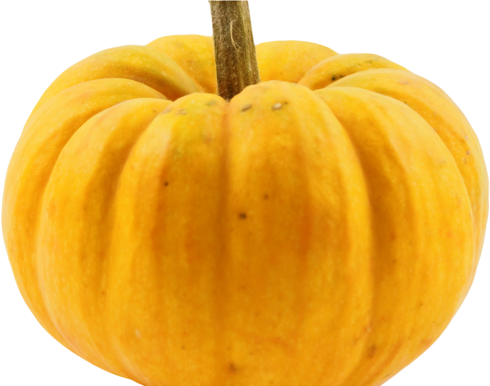 Yellow Pumpkin Squash Isolated