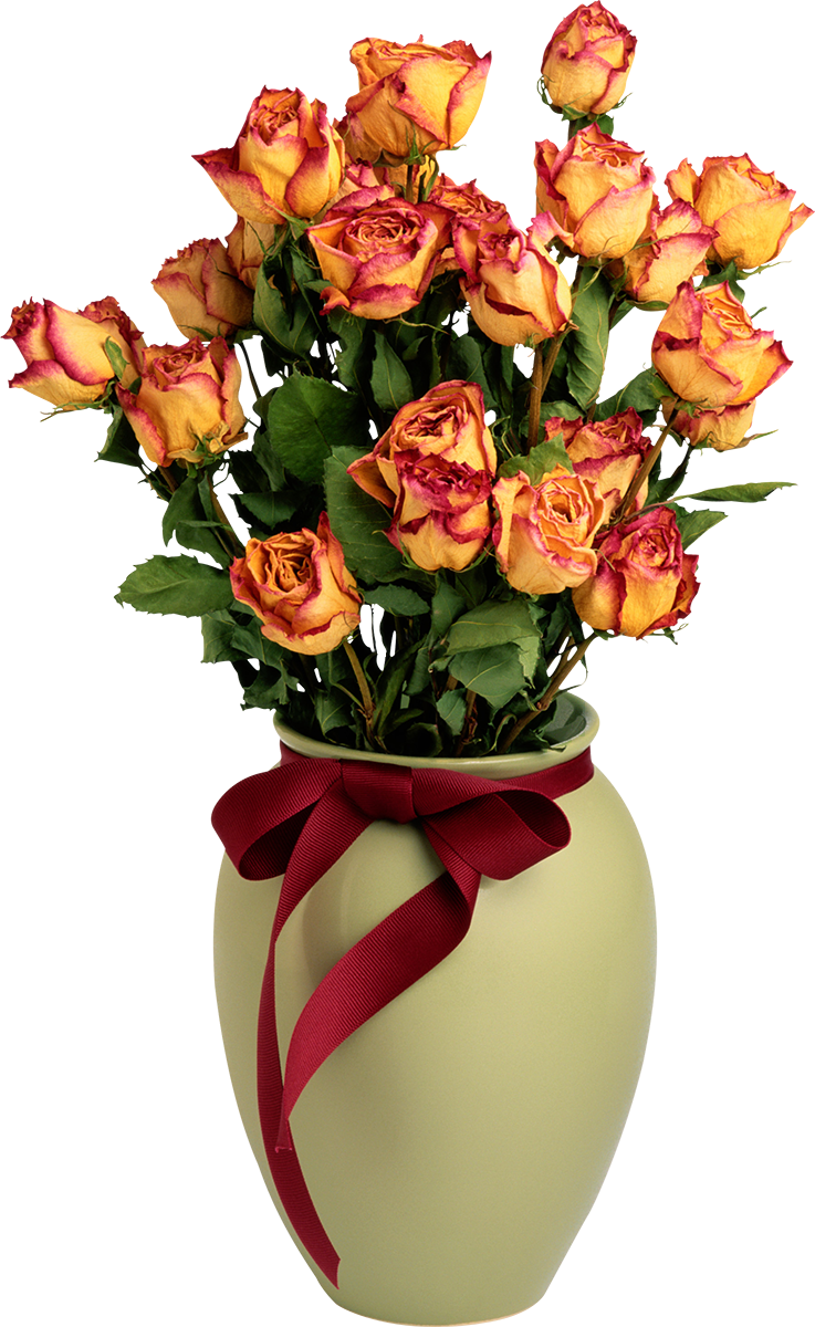 Flower Vase Hd Png, Transparent Png PNG with transparent background