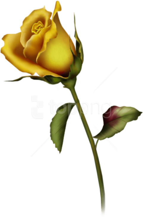 Transparent Rose Bud Png - Single Yellow Rose Tattoo, Png Download PNG with transparent background