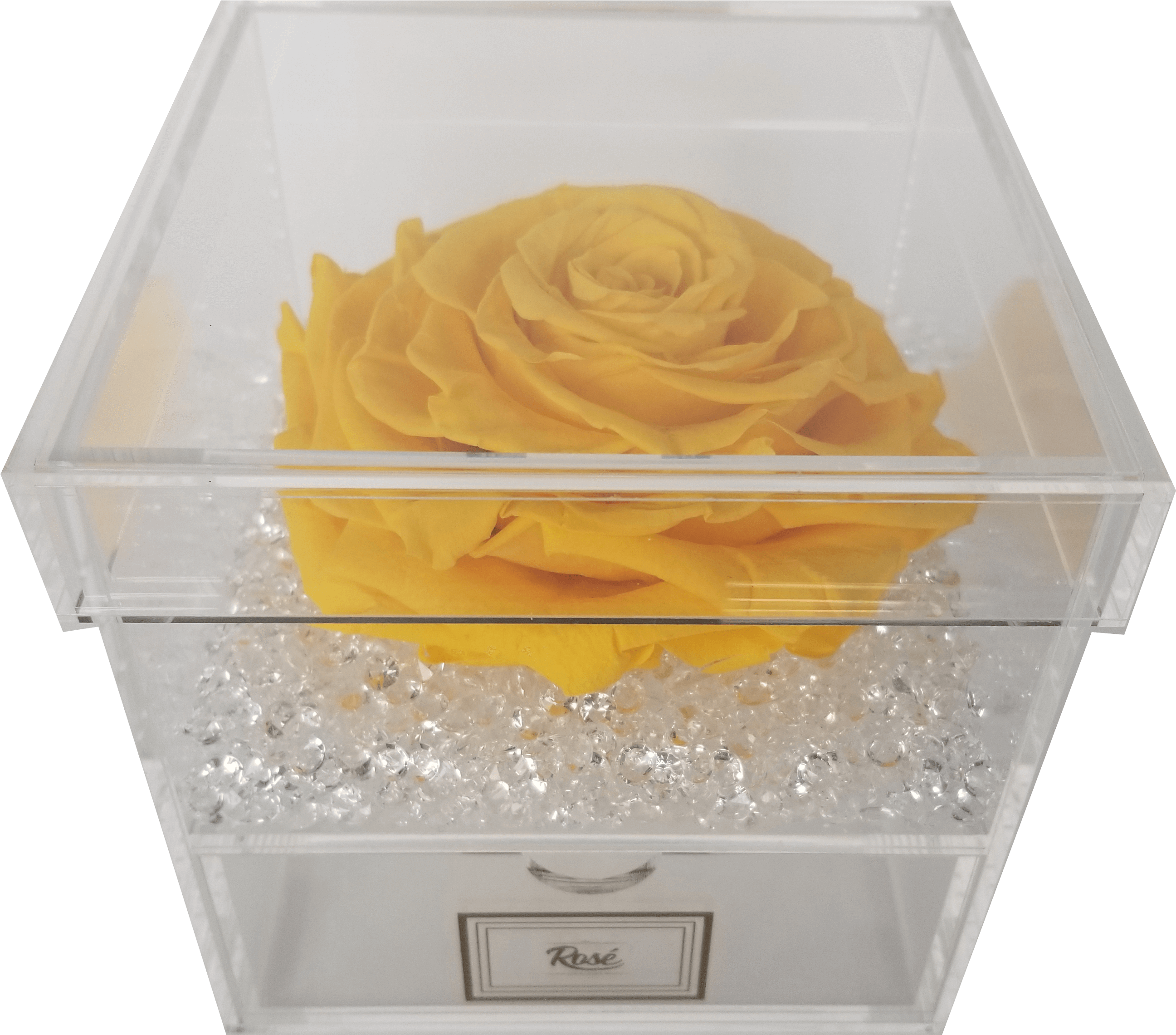 Yellow Rosein Acrylic Display Box