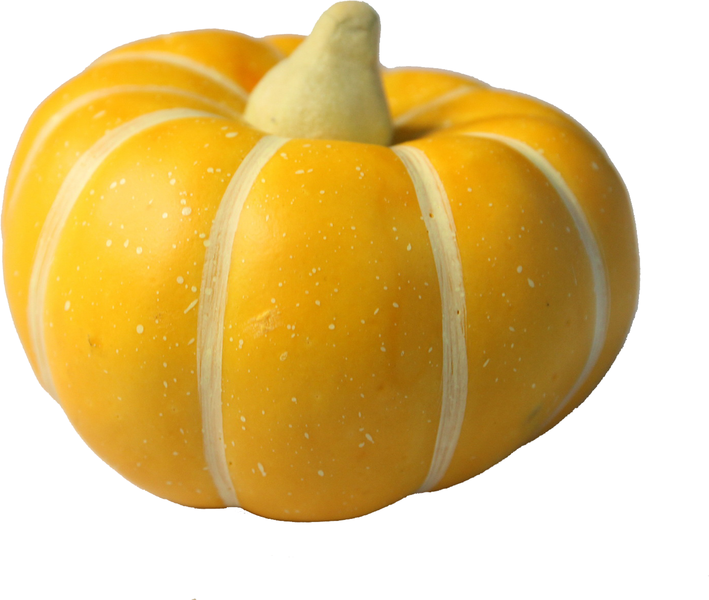 Yellow Squash Vegetable.png