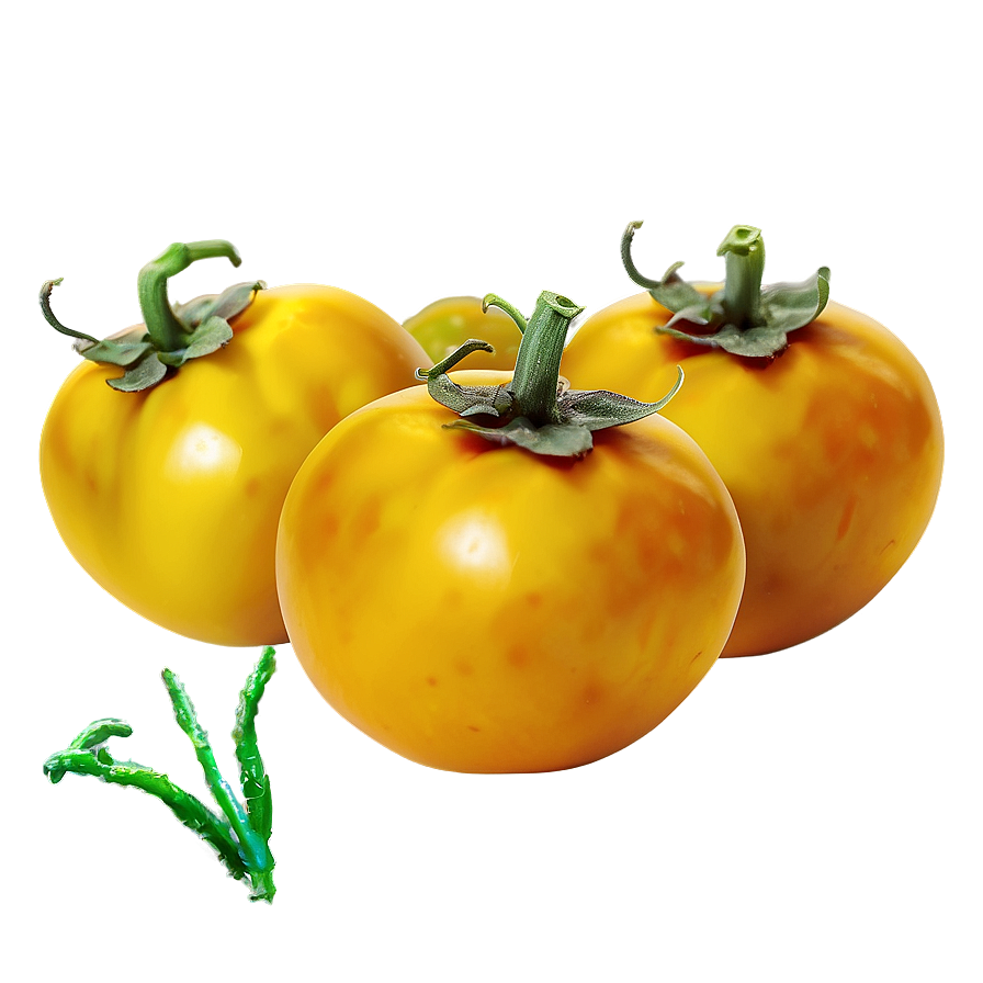 Yellow Tomato Png 06212024