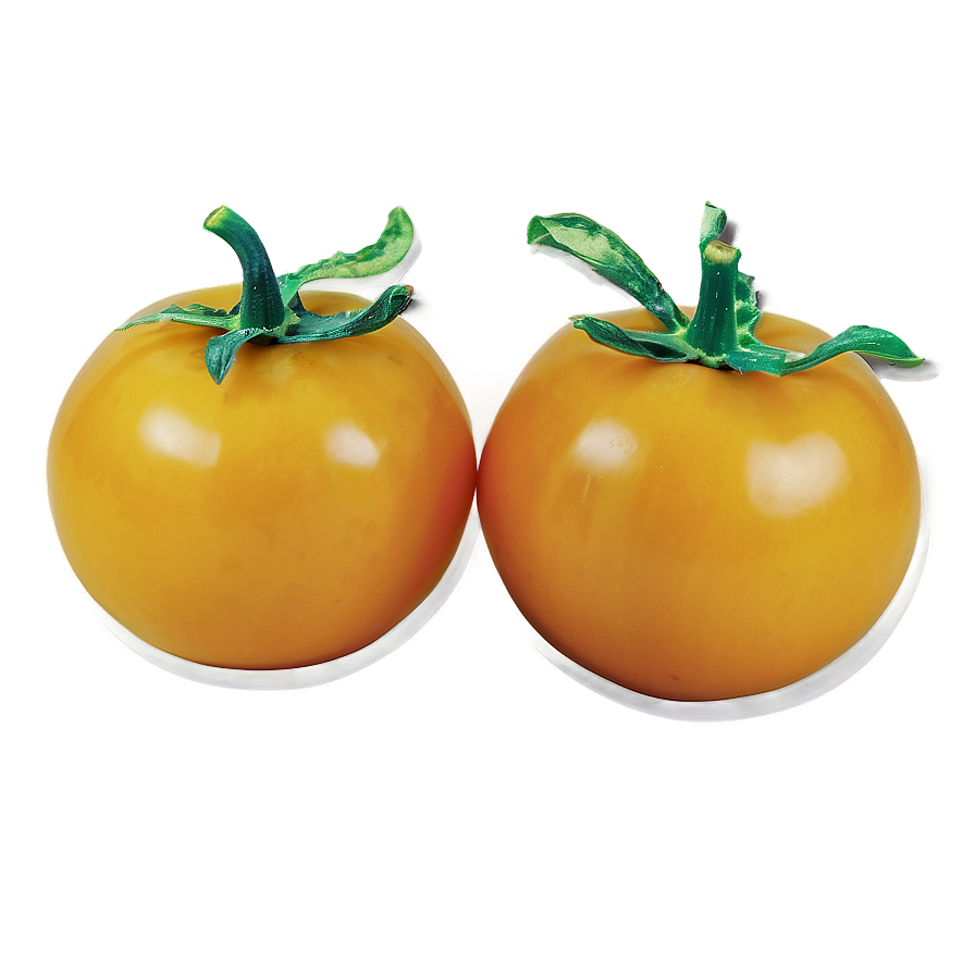 Yellow Tomato Png 7