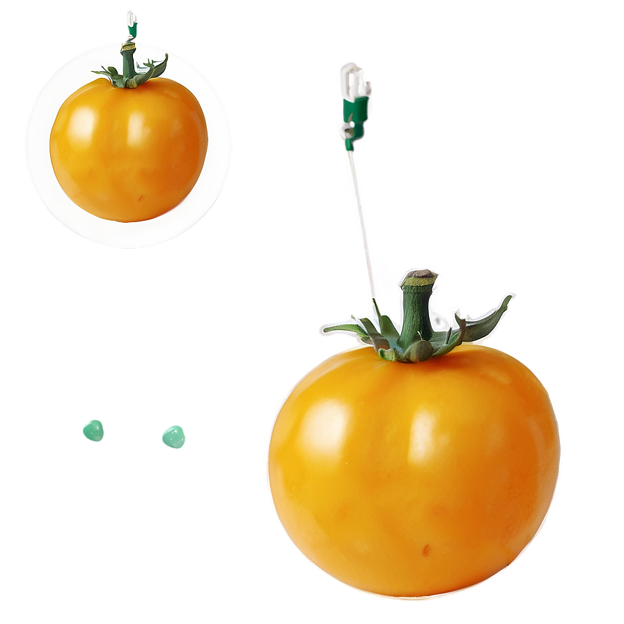 Yellow Tomato Png 98