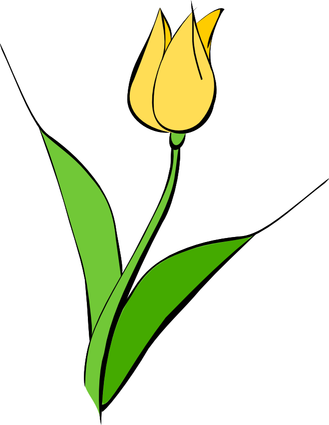 Whimsical Tree Limb Clipart - Pink Tulips Clipart, HD Png Download PNG with transparent background