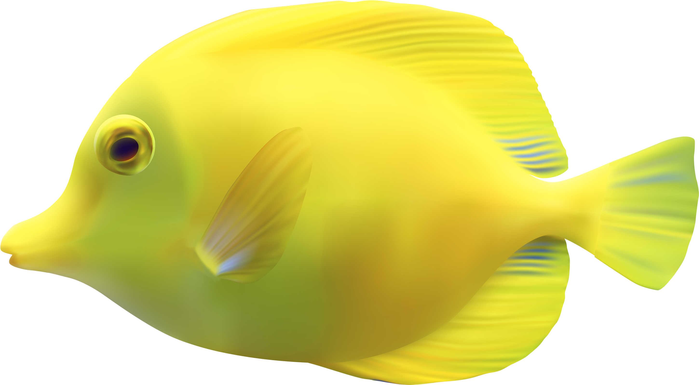 Yellow Zebrasomatang Fish Png Clipart - Fish Png, Transparent Png PNG with transparent background