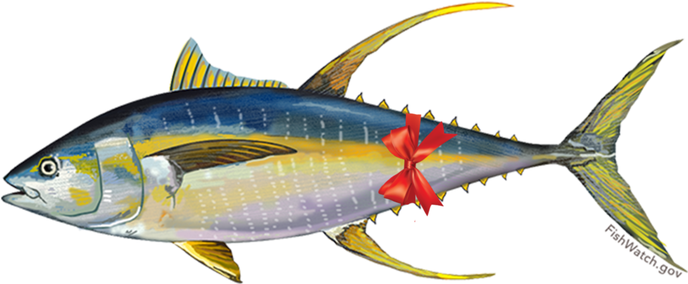 Tunabow - Pacific Yellowfin Tuna, HD Png Download PNG image with a transparent background, free high-resolution download