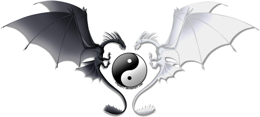 Yin Yang Dragon Heart