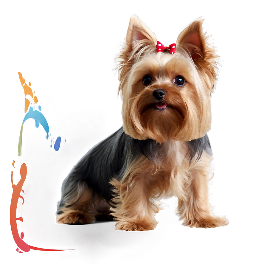 Yorkie Profile Png Lin