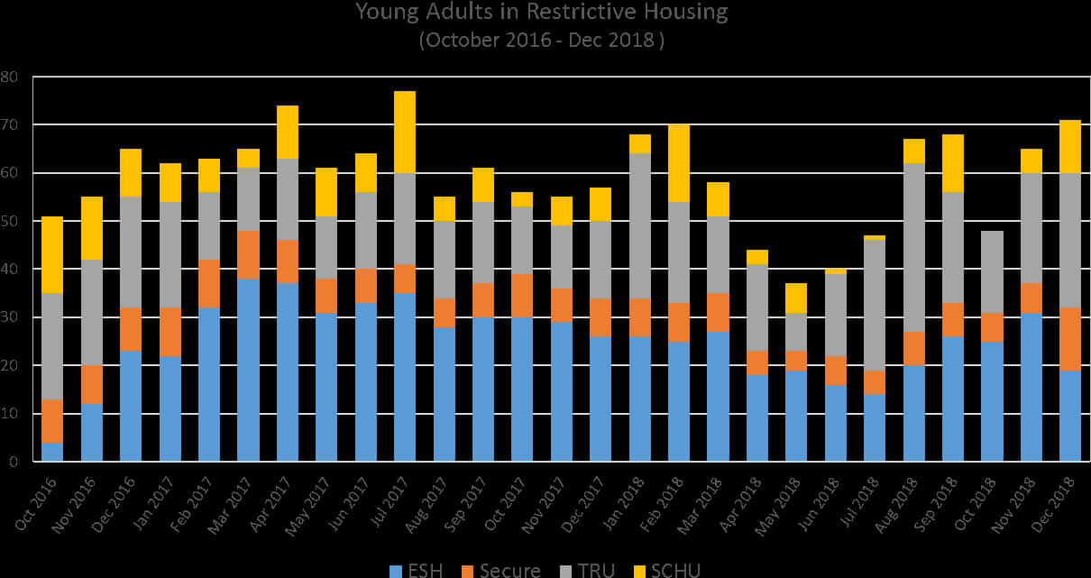 Young Adults Restrictive Housing Data20162018