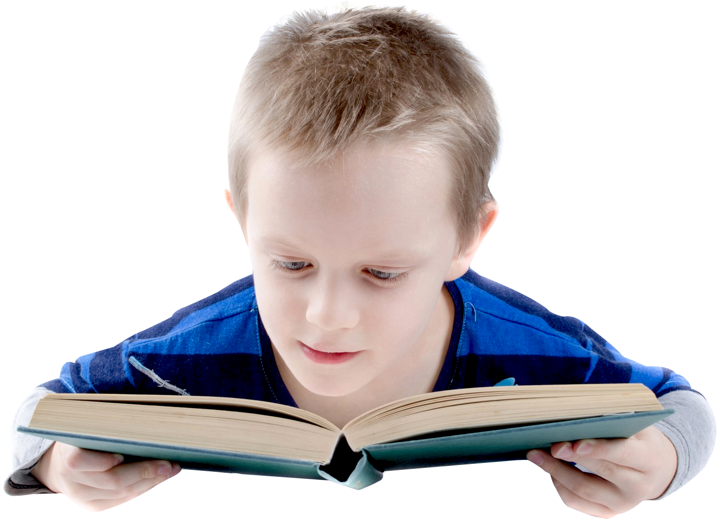 Young Boy Engrossedin Reading