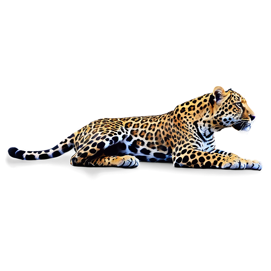 Young Jaguar Png 05212024