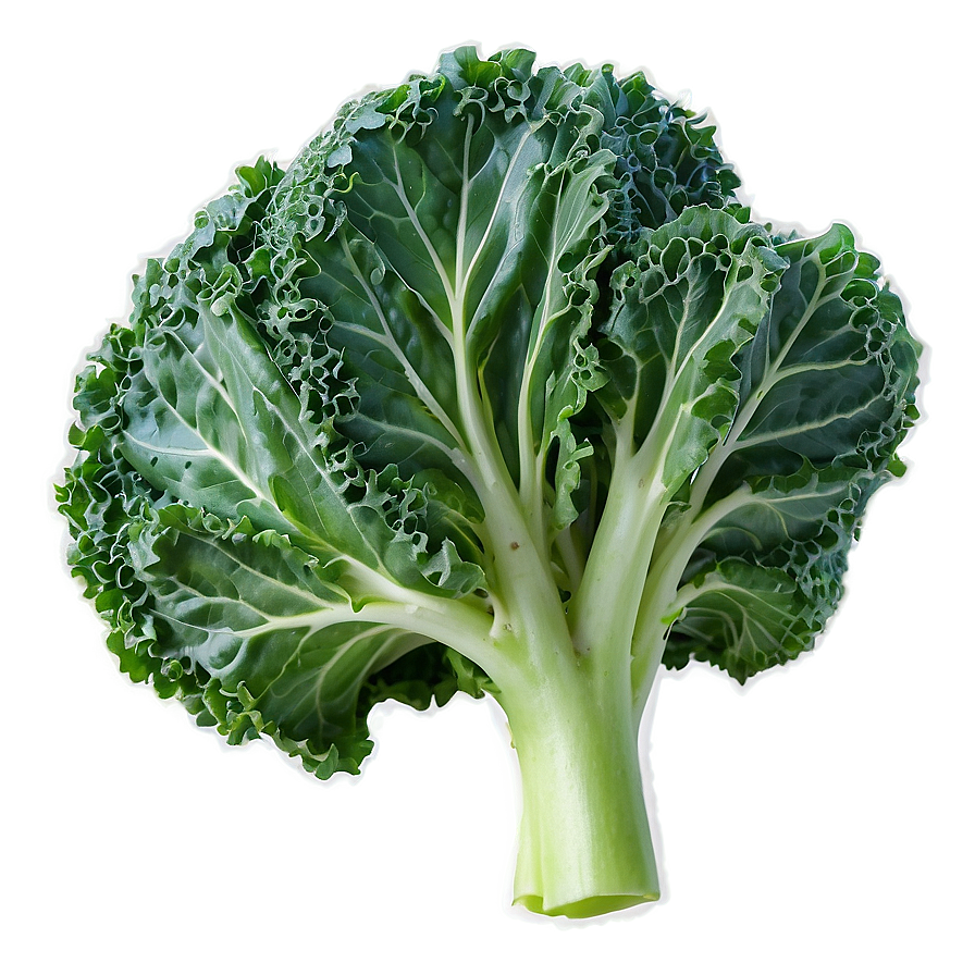 Young Kale Png Bwx