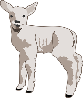 Young Lamb Illustration PNG image with a transparent background, free high-resolution download