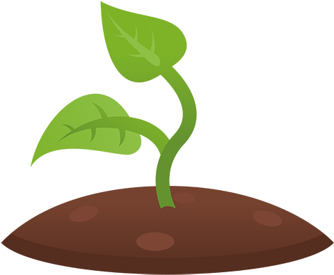 Shoot Of A Plant Clip Art, HD Png Download PNG with transparent background