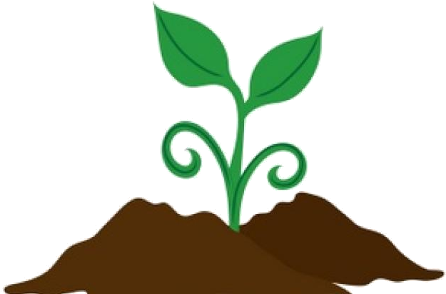 Soil Seeds Clipart Healthy For Free And Use Images - Plant In Soil Clipart, HD Png Download PNG with transparent background