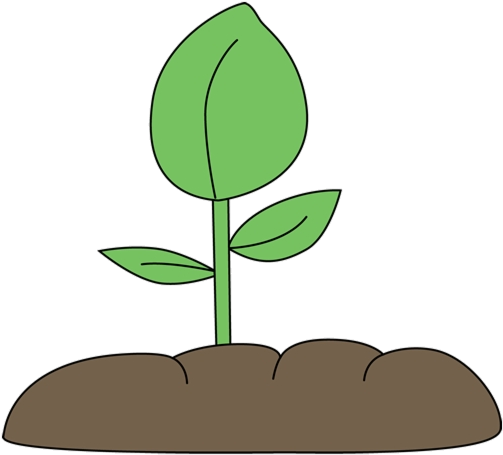 Soil Plant In Clip Art Clipart Free Transparent Png - Plant In Soil Clipart, Png Download PNG with transparent background