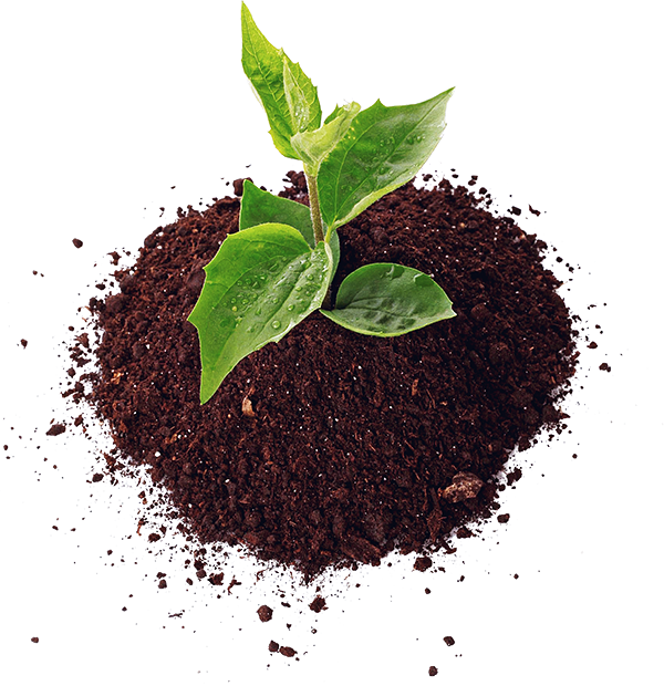 Soil Png Hd Image - Soil Png, Transparent Png PNG with transparent background