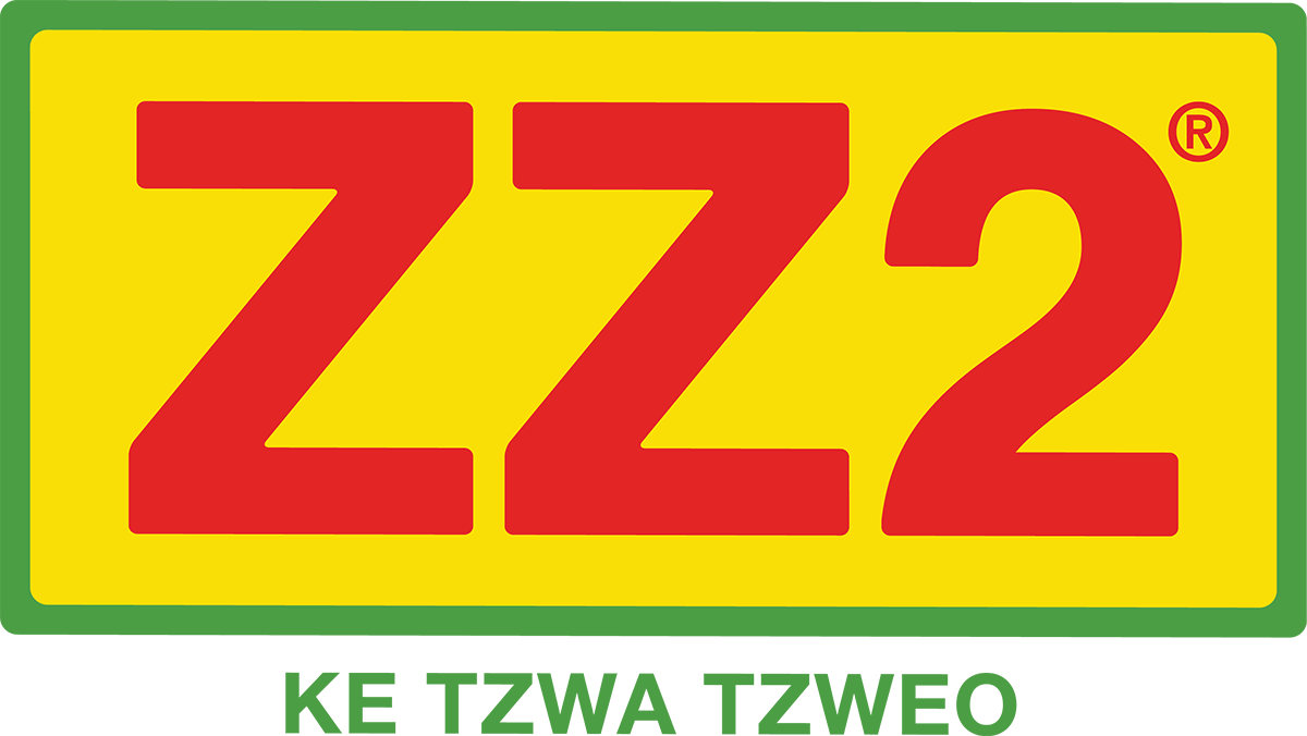 Z Z2 Brand Logo