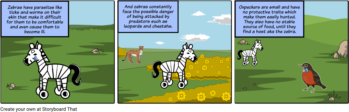 Zebra And Oxpecker Cartoon, HD Png Download PNG with transparent background