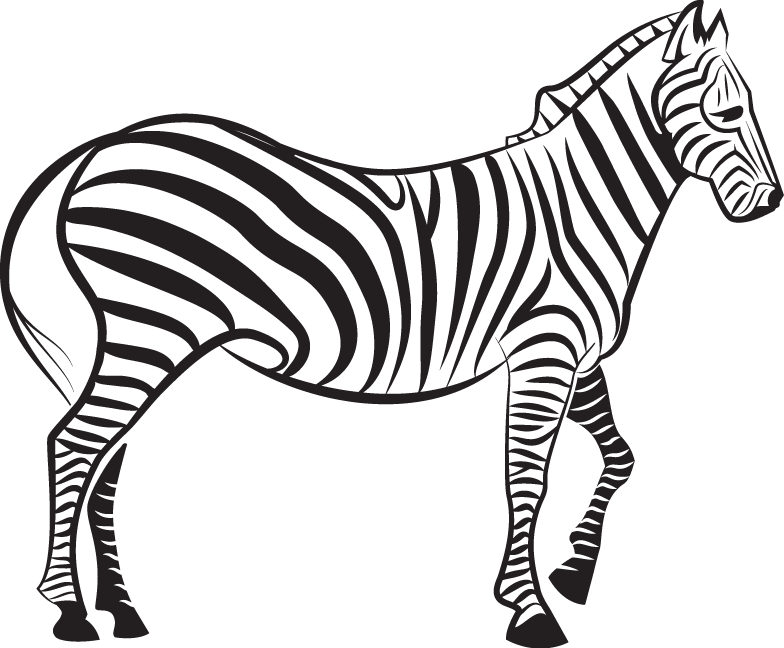 Zebra Euclidean Vector Illustration - Vector Zebra, HD Png Download PNG with transparent background