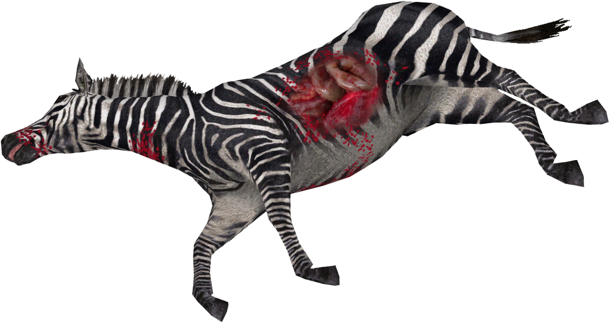 Zebra Png High-quality Image - Dead Zebra Png, Transparent Png PNG with transparent background