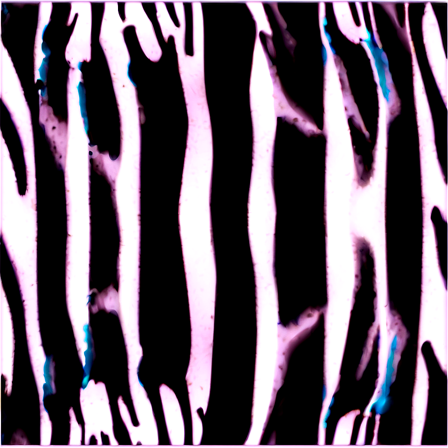 Zebra Print PNG xnf PNG with transparent background