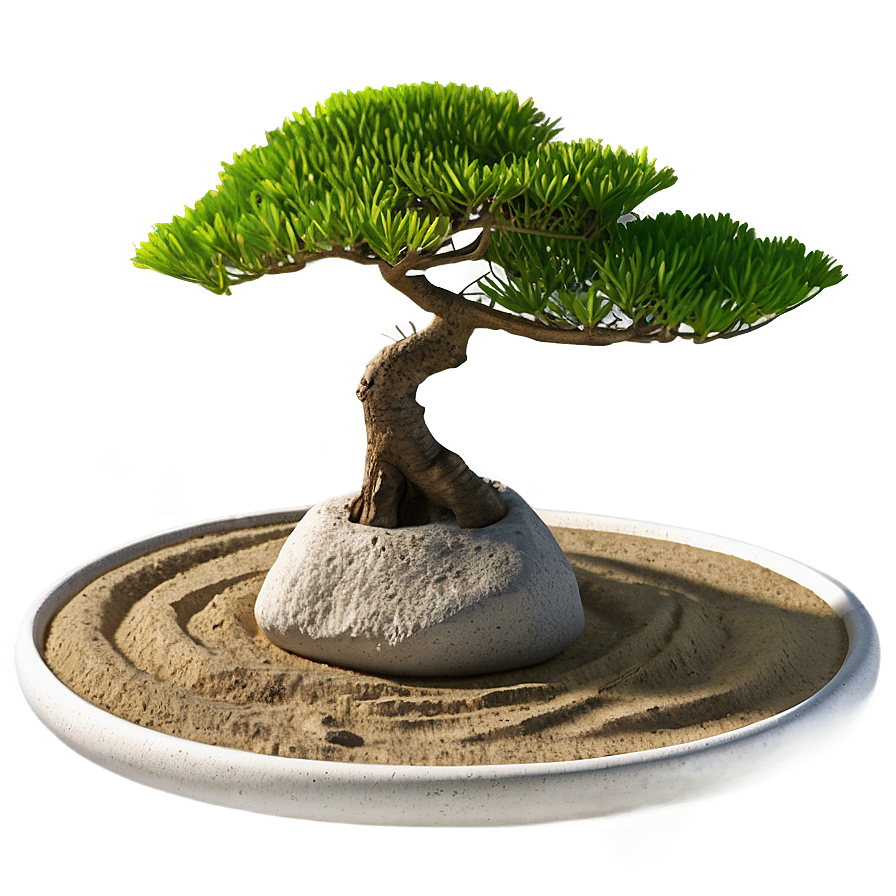 Zen Garden Graphic Png 55