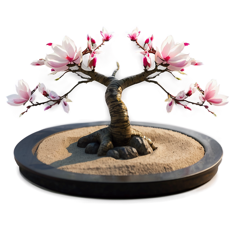 Zen Garden With Magnolia Tree Png Kwr