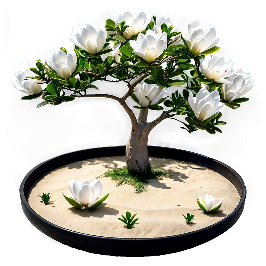 Zen Garden With Magnolia Tree Png Nlw