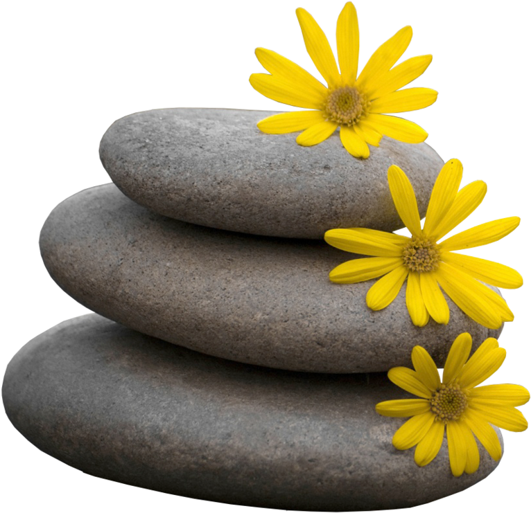 Zen Stones Yellow Flowers Balance