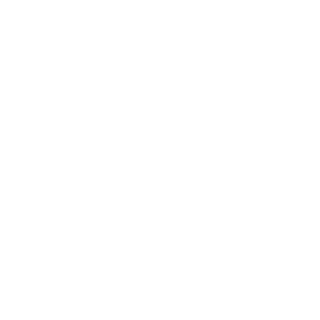 Zia Sun Symbol New Mexico