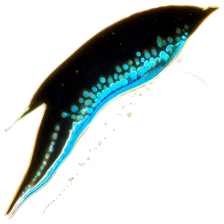 Zooplankton In Bioluminescence Png 66