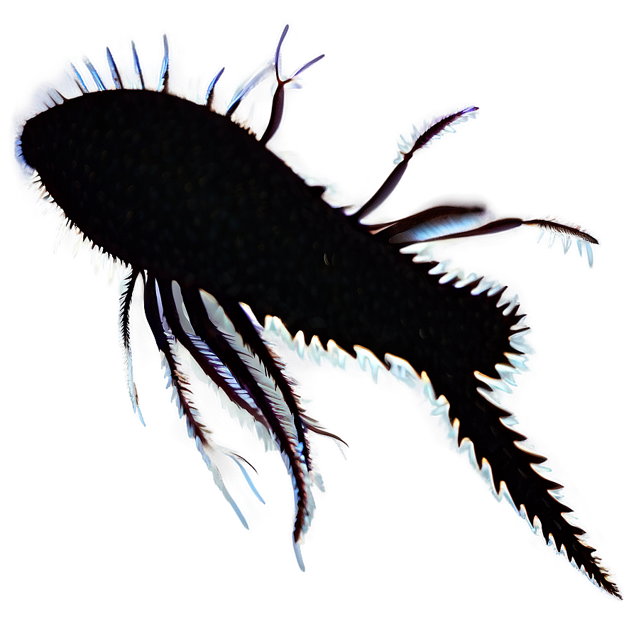 Zooplankton Silhouette Png Nae95