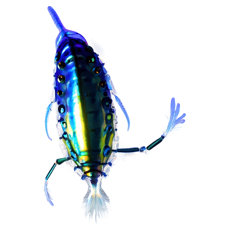 Zooplankton Transparent Background Png 06292024