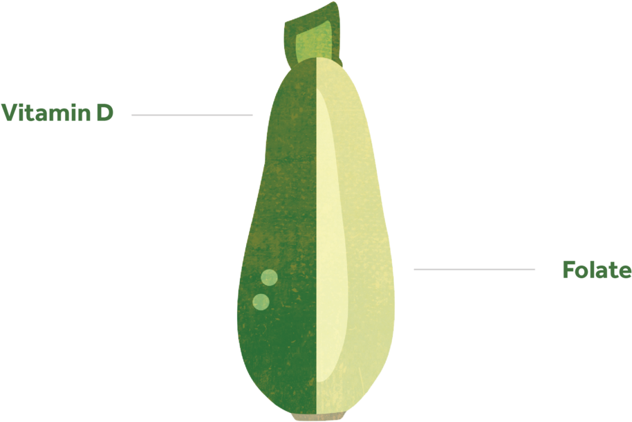 Zucchini , Png Download - รองเท้า เพื่อ สุขภาพ Fitflop, Transparent Png PNG with transparent background