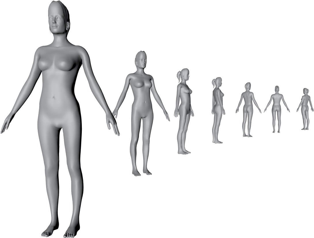 3 D Human Growth Sequence PNG Image