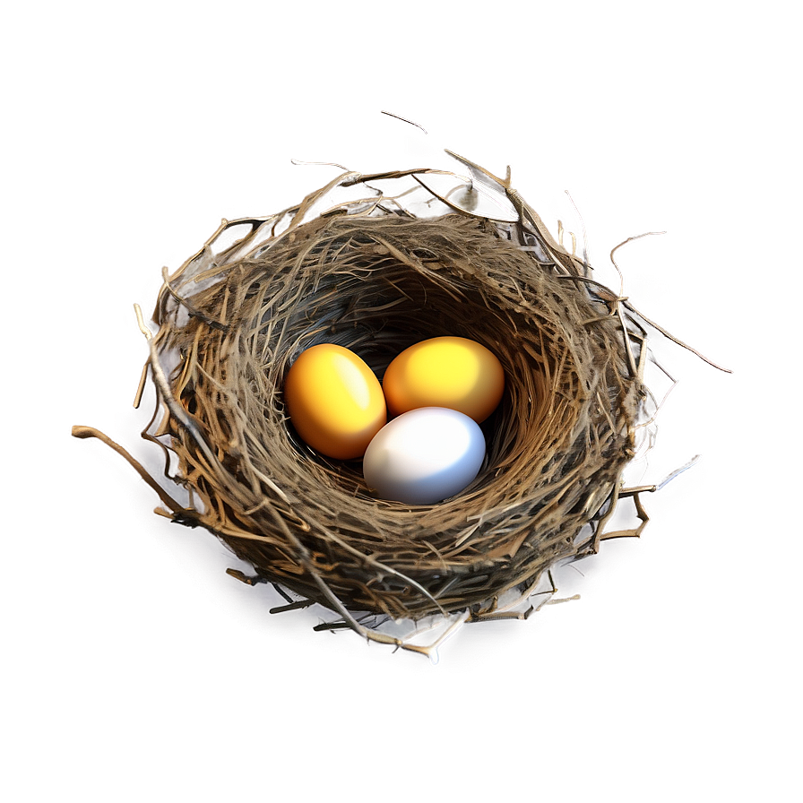 3d Bird Nest Png Bub PNG Image