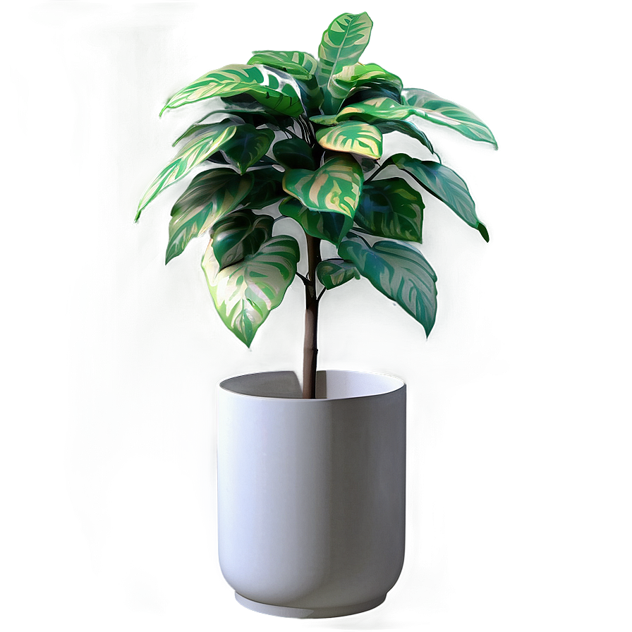 3d Plant Models Png Qyq PNG Image