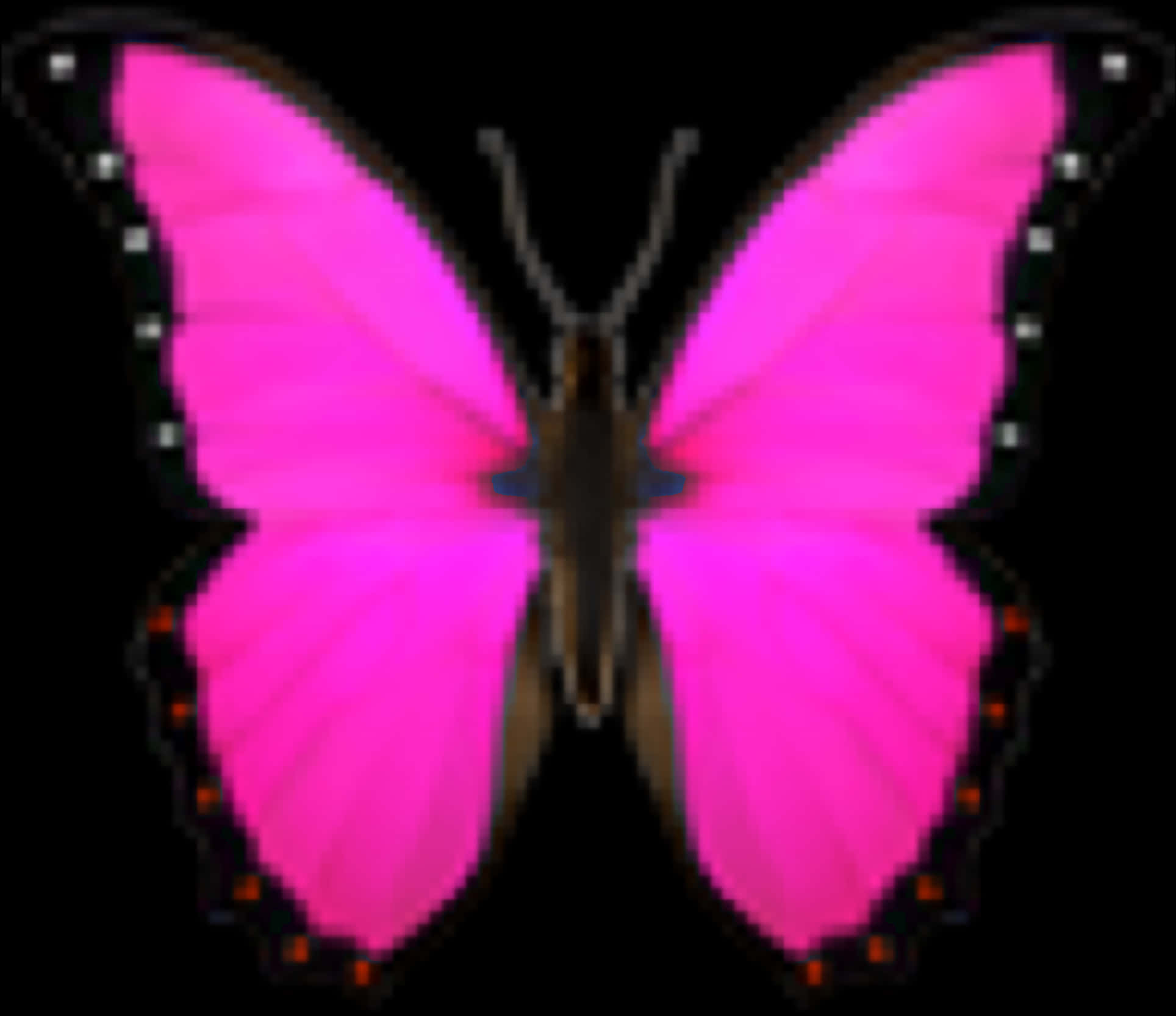 A Close-up View Of A Vivacious Pink Butterfly PNG Image