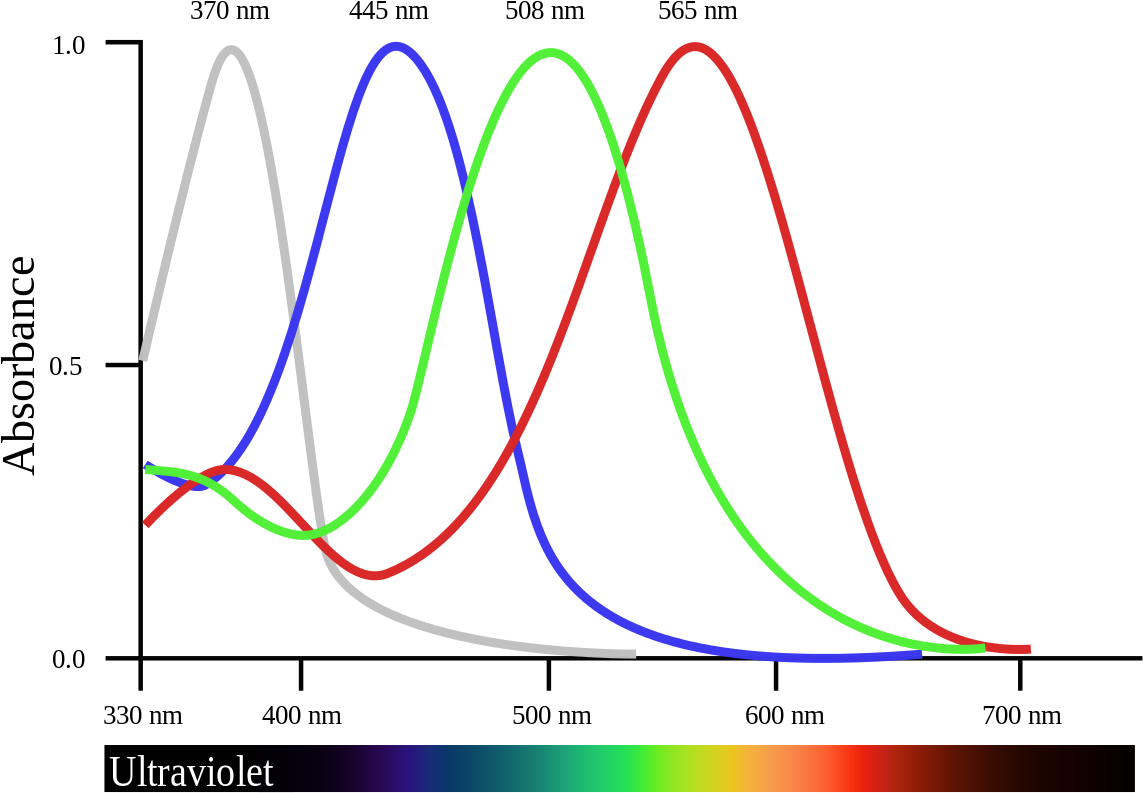 Absorption Spectrum Peak Wavelengths PNG Image