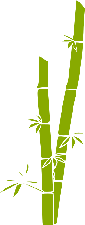 Abstract Bamboo Illustration PNG Image